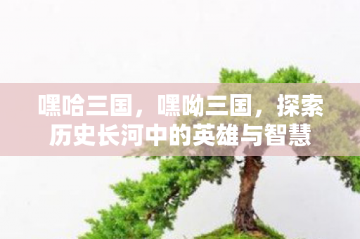 嘿哈三国，嘿呦三国，探索历史长河中的英雄与智慧