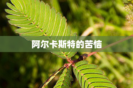 阿尔卡斯特的苦恼 阿尔卡斯特的苦恼