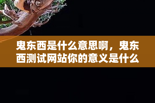 鬼东西是什么意思啊,鬼东西测试网站你的意义是什么 鬼东西是什么意思啊,鬼东西测试网站你的意义是什么