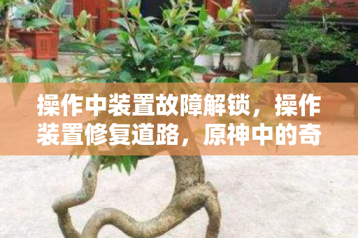 操作中装置故障解锁，操作装置修复道路，原神中的奇妙之旅