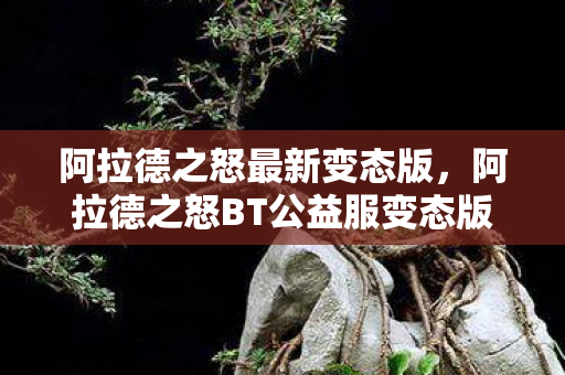 阿拉德之怒BT公益服变态版图片
