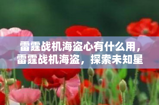 雷霆战机海盗心有什么用，雷霆战机海盗，探索未知星域，挑战无尽海盗