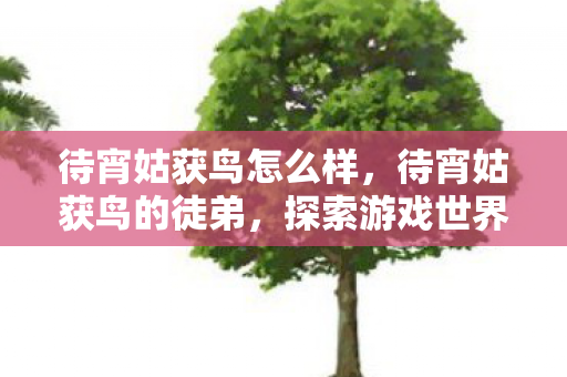 待宵姑获鸟怎么样，待宵姑获鸟的徒弟，探索游戏世界的无限可能
