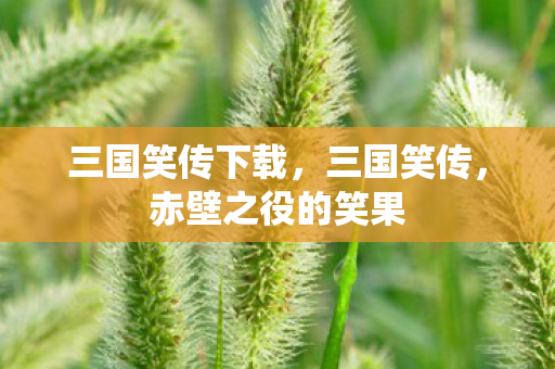 三国笑传下载，三国笑传，赤壁之役的笑果