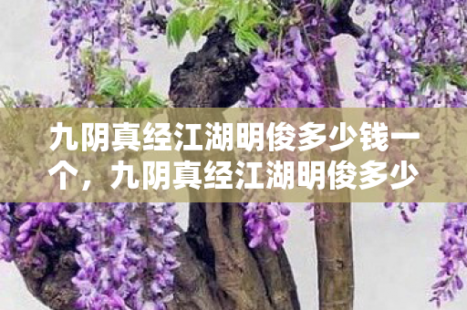九阴真经江湖明俊多少钱一个图片