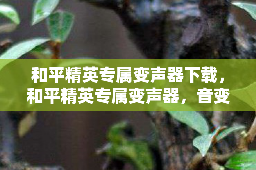 和平精英专属变声器下载，和平精英专属变声器，音变战术，游戏新境界