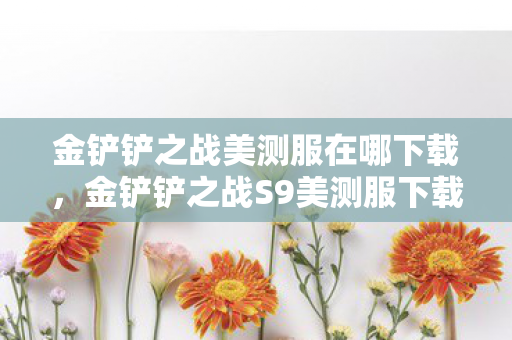 金铲铲之战美测服在哪下载，金铲铲之战S9美测服下载，抢先体验新赛季的绝佳途径