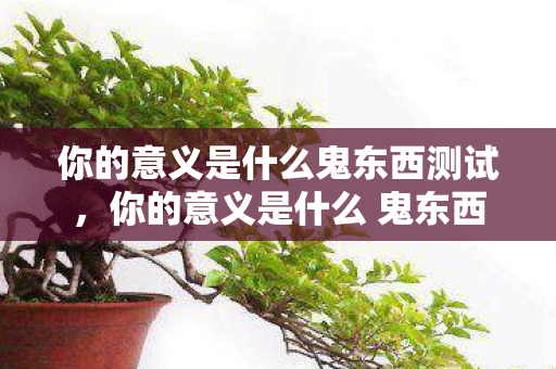 你的意义是什么鬼东西测试，你的意义是什么 鬼东西