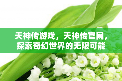天神传游戏，天神传官网，探索奇幻世界的无限可能