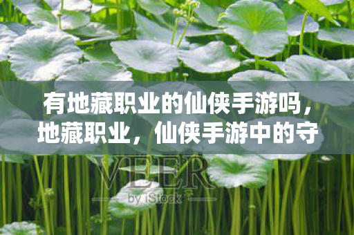 有地藏职业的仙侠手游吗图片