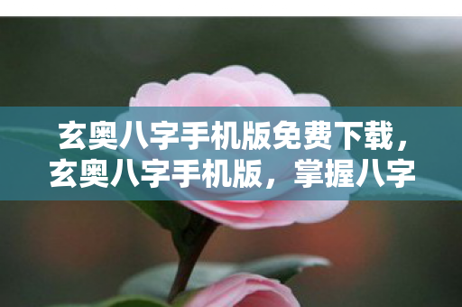 玄奥八字手机版免费下载图片