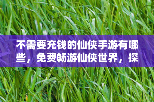 不需要充钱的仙侠手游有哪些，免费畅游仙侠世界，探索顶级仙侠手游的无限可能