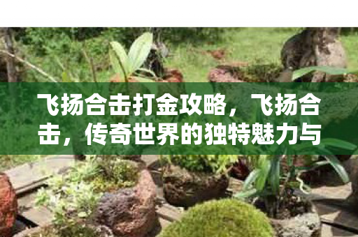 飞扬合击打金攻略，飞扬合击，传奇世界的独特魅力与玩家情怀