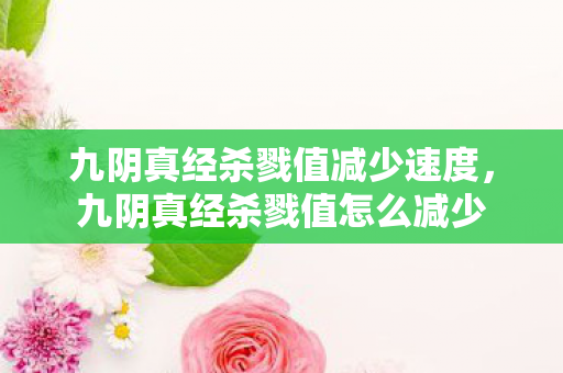 九阴真经杀戮值减少速度，九阴真经杀戮值怎么减少