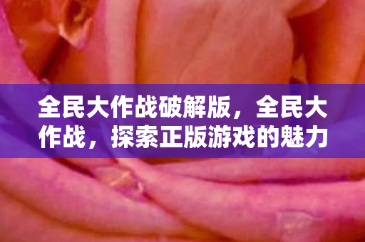 全民大作战破解版，全民大作战，探索正版游戏的魅力与乐趣