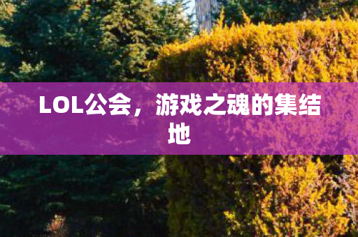 LOL公会，游戏之魂的集结地