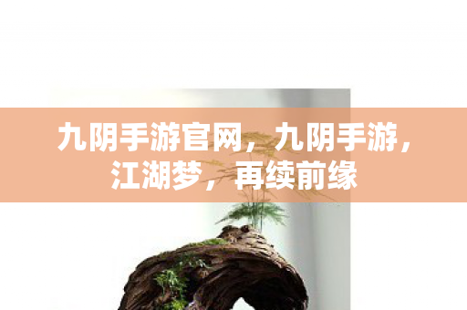 九阴手游官网，九阴手游，江湖梦，再续前缘