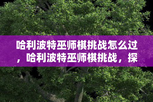 哈利波特巫师棋挑战怎么过图片