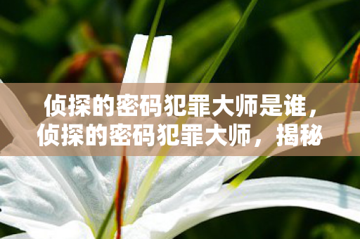 侦探的密码犯罪大师是谁图片