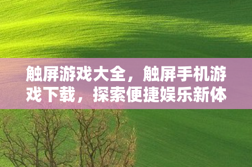 探索便捷娱乐新体验图片