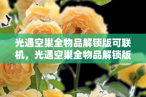 光遇空巢全物品解锁版可联机图片