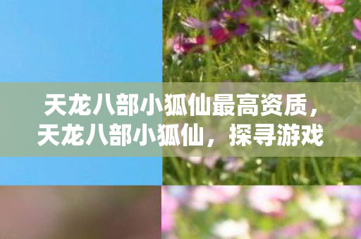 天龙八部小狐仙最高资质，天龙八部小狐仙，探寻游戏中的神秘角色