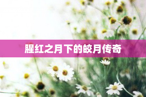 腥红之月下的皎月传奇 腥红之月下的皎月传奇