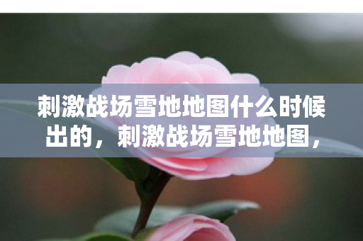刺激战场雪地地图什么时候出的,刺激战场雪地地图,探索极寒之地的生存挑战 刺激战场雪地地图什么时候出的,刺激战场雪地地图,探索极寒之地的生存挑战