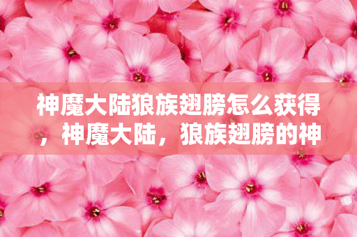 神魔大陆狼族翅膀怎么获得,神魔大陆,狼族翅膀的神秘魅力 神魔大陆狼族翅膀怎么获得,神魔大陆,狼族翅膀的神秘魅力