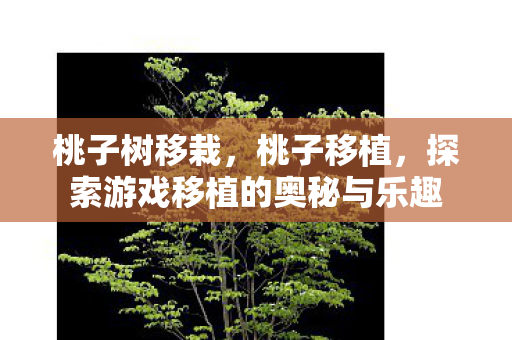 探索游戏移植的奥秘与乐趣图片