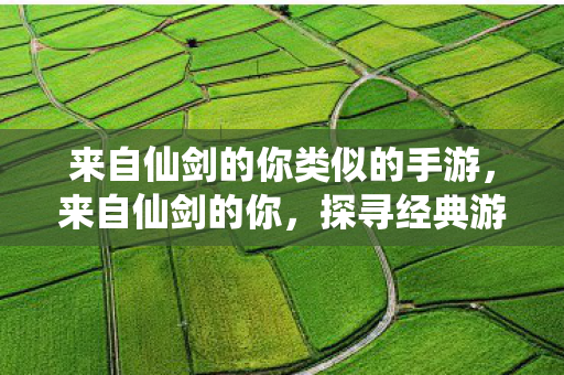 探寻经典游戏的魅力与传承图片