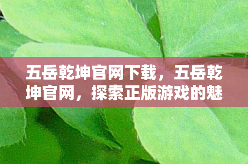 五岳乾坤官网下载,五岳乾坤官网,探索正版游戏的魅力与魅力 五岳乾坤官网下载,五岳乾坤官网,探索正版游戏的魅力与魅力