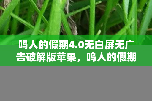 鸣人的假期4.0无白屏无广告破解版苹果,鸣人的假期4.0无白屏无广告破解版,沉浸式体验与无限乐趣的完美结合 鸣人的假期4.0无白屏无广告破解版苹果,鸣人的假期4.0无白屏无广告破解版,沉浸式体验与无限乐趣的完美结合