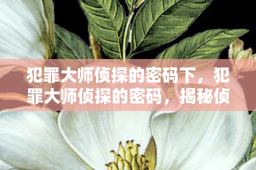 揭秘侦探世界的数字谜题图片
