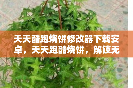 天天酷跑烧饼修改器下载安卓,天天跑酷烧饼,解锁无限可能的跑酷新体验 天天酷跑烧饼修改器下载安卓,天天跑酷烧饼,解锁无限可能的跑酷新体验