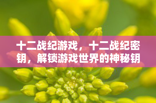 解锁游戏世界的神秘钥匙图片