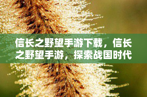 信长之野望手游下载，信长之野望手游，探索战国时代的策略之旅