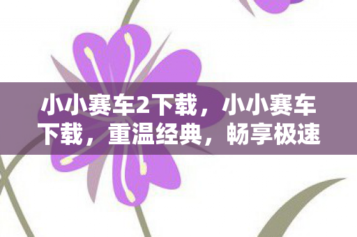 小小赛车2下载，小小赛车下载，重温经典，畅享极速赛车之旅