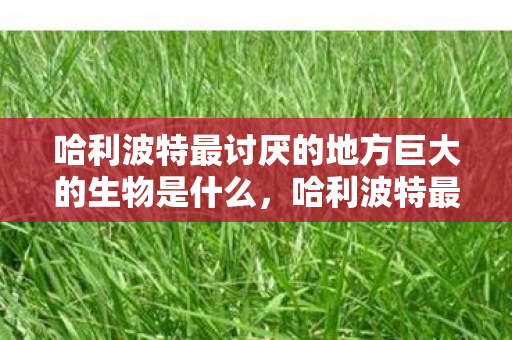 哈利波特最讨厌的地方巨大的生物是什么,哈利波特最讨厌的地方,巨大的生物 哈利波特最讨厌的地方巨大的生物是什么,哈利波特最讨厌的地方,巨大的生物