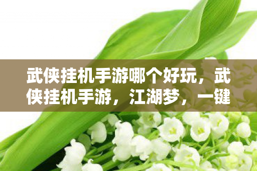 武侠挂机手游哪个好玩图片