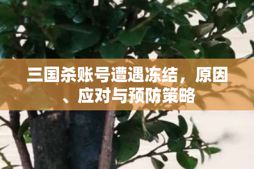 三国杀账号遭遇冻结,原因、应对与预防策略 三国杀账号遭遇冻结,原因、应对与预防策略
