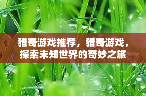 猎奇游戏推荐,猎奇游戏,探索未知世界的奇妙之旅 猎奇游戏推荐,猎奇游戏,探索未知世界的奇妙之旅