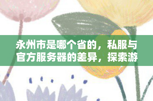 永州市是哪个省的,私服与官方服务器的差异,探索游戏世界的不同维度 永州市是哪个省的,私服与官方服务器的差异,探索游戏世界的不同维度