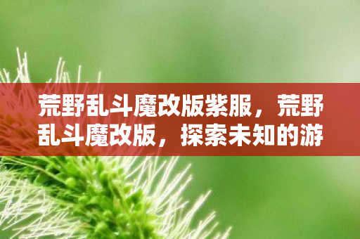 荒野乱斗魔改版紫服图片
