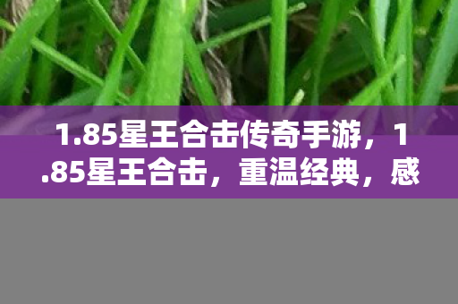 1.85星王合击传奇手游,1.85星王合击,重温经典,感受传奇魅力 1.85星王合击传奇手游,1.85星王合击,重温经典,感受传奇魅力