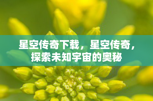 星空传奇下载,星空传奇,探索未知宇宙的奥秘 星空传奇下载,星空传奇,探索未知宇宙的奥秘