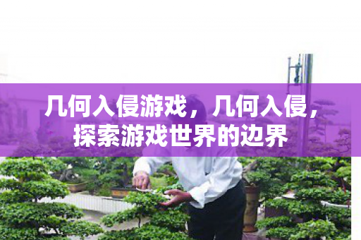 几何入侵游戏，几何入侵，探索游戏世界的边界