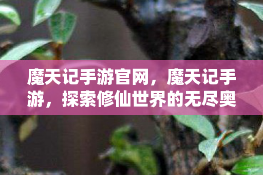 魔天记手游官网,魔天记手游,探索修仙世界的无尽奥秘 魔天记手游官网,魔天记手游,探索修仙世界的无尽奥秘