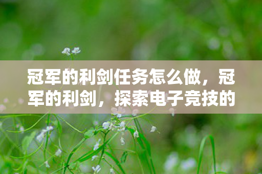 冠军的利剑任务怎么做,冠军的利剑,探索电子竞技的荣耀之路 冠军的利剑任务怎么做,冠军的利剑,探索电子竞技的荣耀之路