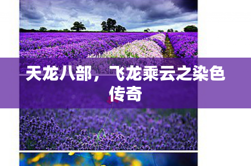 天龙八部,飞龙乘云之染色传奇 天龙八部,飞龙乘云之染色传奇